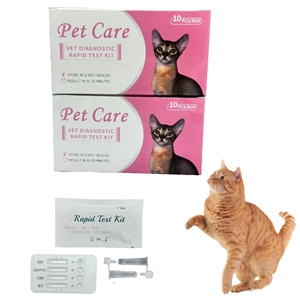 Kan tipi testi KitAutomatic Pet ilaç besleyici köpek Pet kedi damla sevkiyat için özelleştirilebilir Pet öğeleri trend - Product Image 1