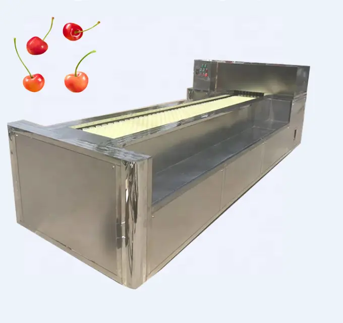 Macchina automatica per l'estrazione del carotatore di mele/macchina per la denocciolatura di frutta con nucleo di ciliegia di giuggiola rossa