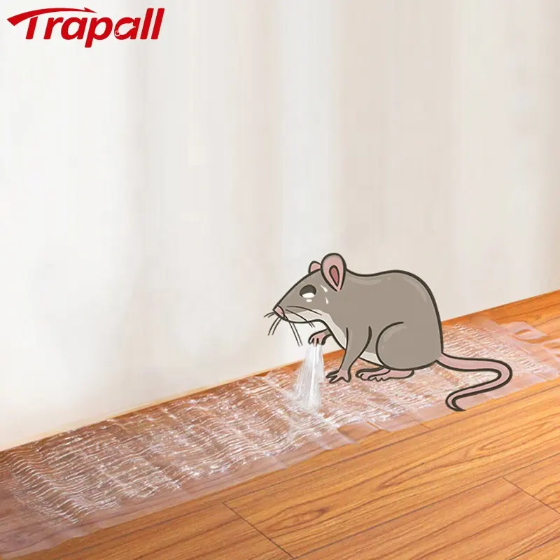 Sticky Board Rat roditore Control Catcher Mouse Glue Trap trasparente usa e getta sostenibile repellente per roditori trappole Cole per topi