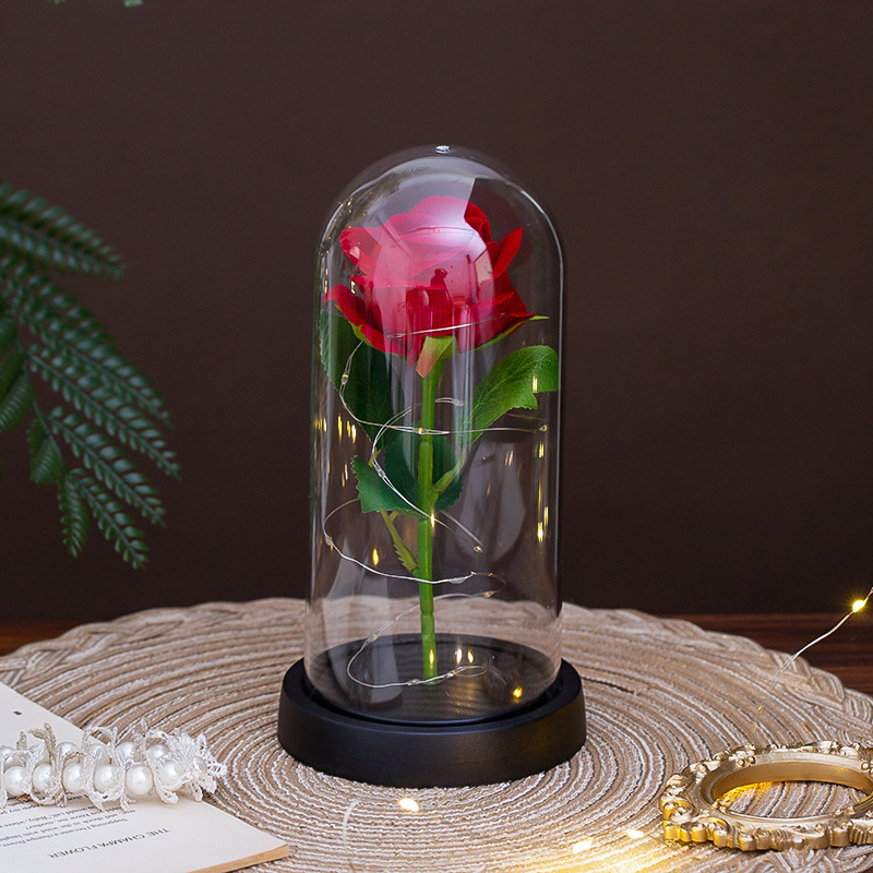 Base en plastique rouge-11