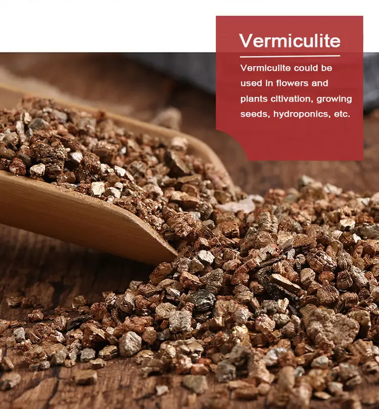 Vermiculite d'or horticole élargi pour semis agricoles