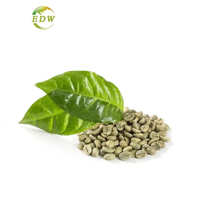 100% Pure Green Coffee Bean Extract Chlorogenic Acid 10% -80% CAS no.327-97-9