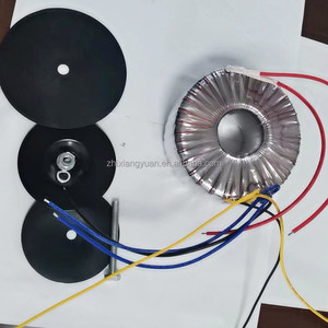Voltaje de salida de entrada de transformador toroidal personalizado para amplificador de audio de fuente de alimentación - Product Image 6