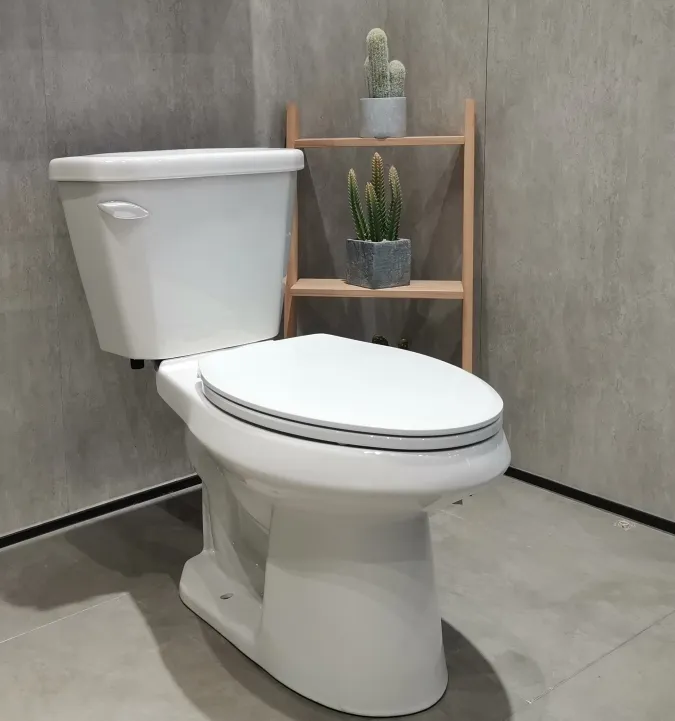 Bolina hot selling American Standard Sanitary Ware Bathroom toilet bowl dual flush Floor Mounted Two Piece Toilet