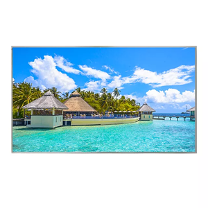 DV215FHM-NN0 21.5 Inch FHD TFT LCD Panel with IPS and 500 Nit Lcd Display <strong>Manufancturer</strong> for Digital Signage - Product Image 3