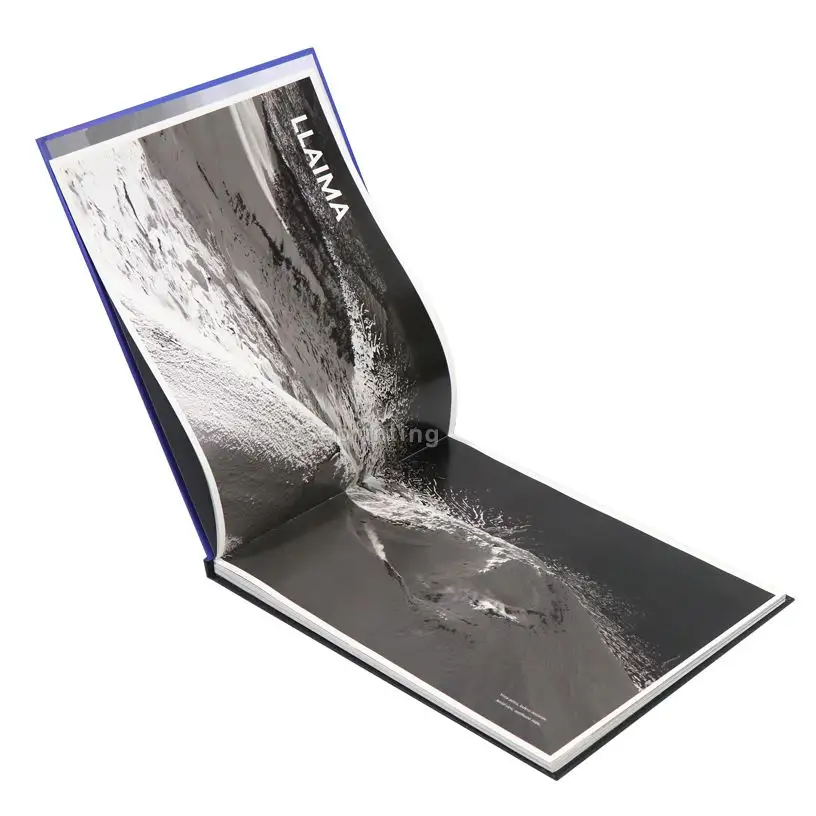 OEM ciltli resimli kitap özel Premium Layflat fotoğraf kitapları oluşturun