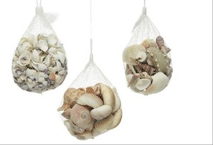 Single <strong>Shells</strong> or Assorted Sea <strong>Shells</strong> Natural Packed in Net Bag or Kraft Box 350g / Pc, 400g/ Pc - Product Image 2