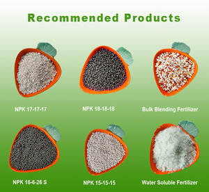 Phân bón hóa học huaqiang <span class=keywords><strong>NPK</strong></span> 15-15-15 nông nghiệp phân bón nitro-sulfer dựa trên tháp cao hợp chất phân bón giá - Product Image 5