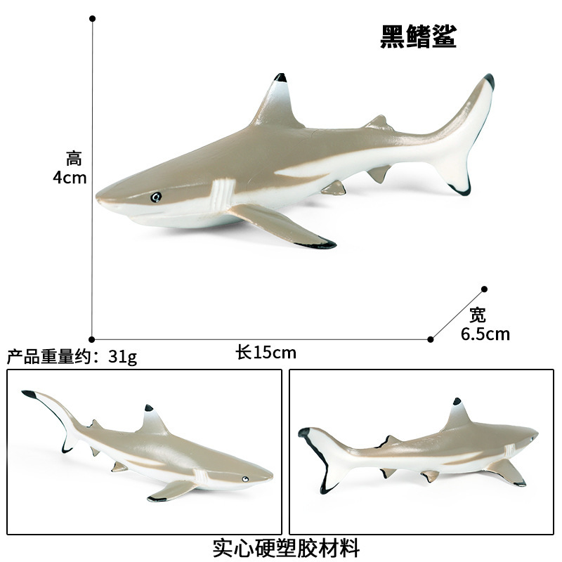 M-1031 Blacktip Shark