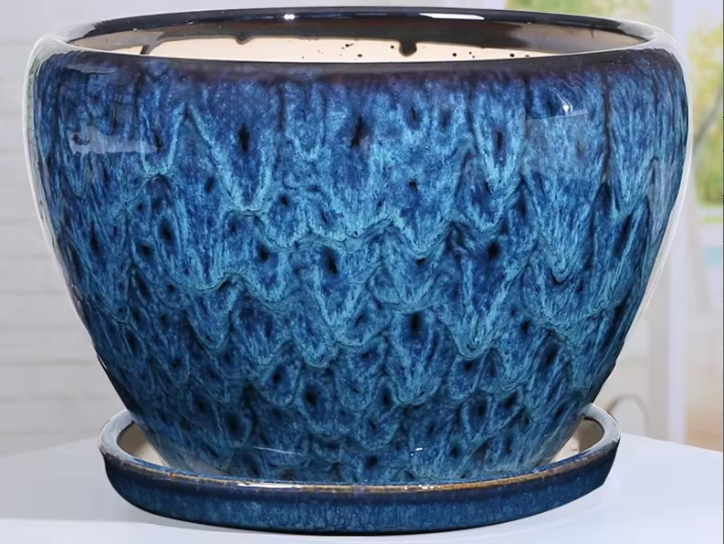 Azul Cz, tipo manzana azul pavo real - extra grande