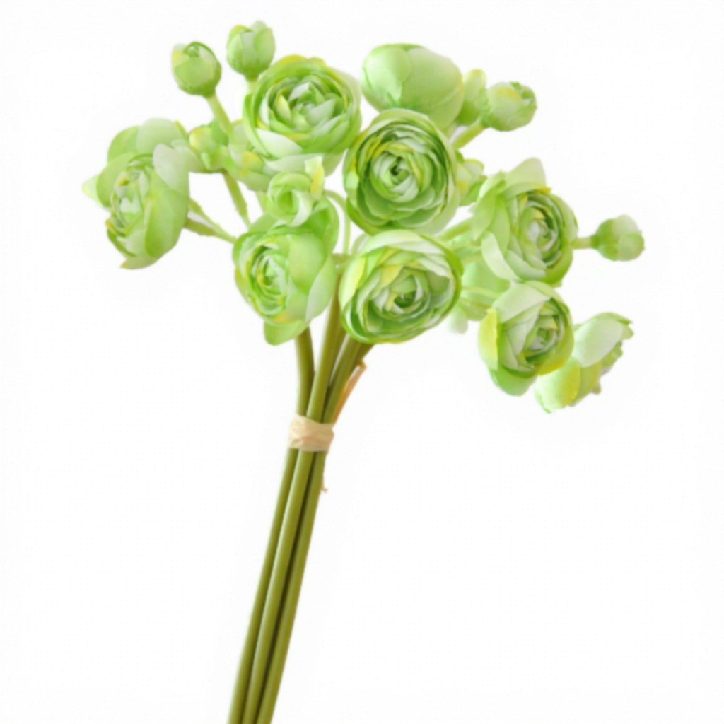 Vert