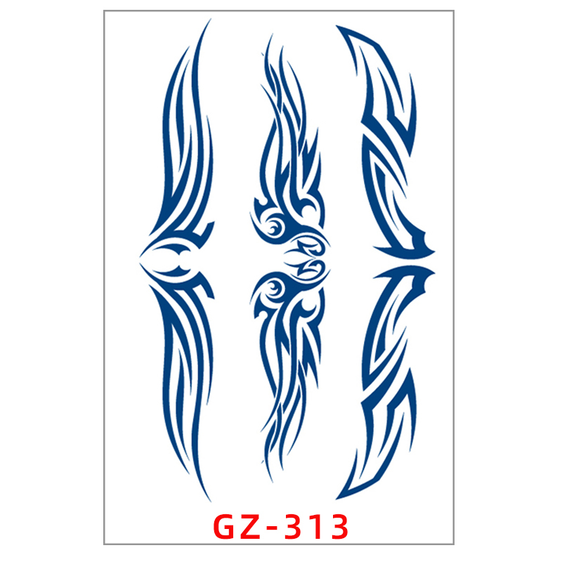 GZ-313 type
