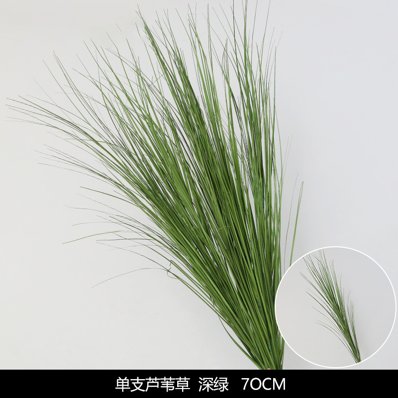 Hierba de caña única de 70 cm.