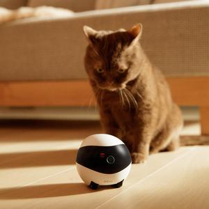 Yükseltildi akıllı App kablosuz kumanda <span class=keywords><strong>Ebo</strong></span> Pet arkadaşı <span class=keywords><strong>Robot</strong></span> kamera lazer otomatik elektron interaktif robotik kedi oyuncak - Product Image 4