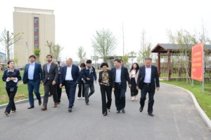 Композитный изолятор переменного/постоянного тока 10 кВ/35 кВ/66 кВ/110 кВ - Product Image 5