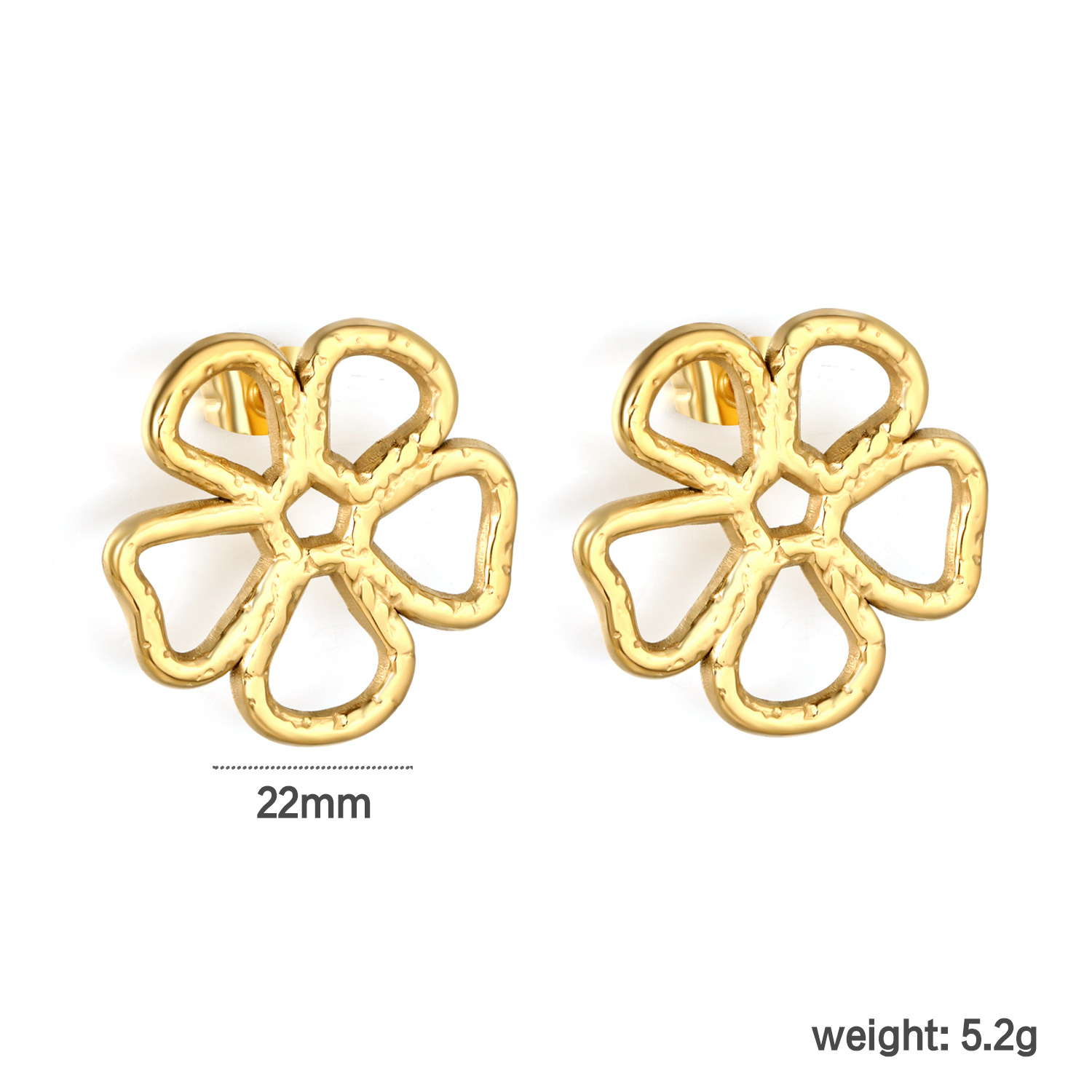 EA5D6701G Earrings