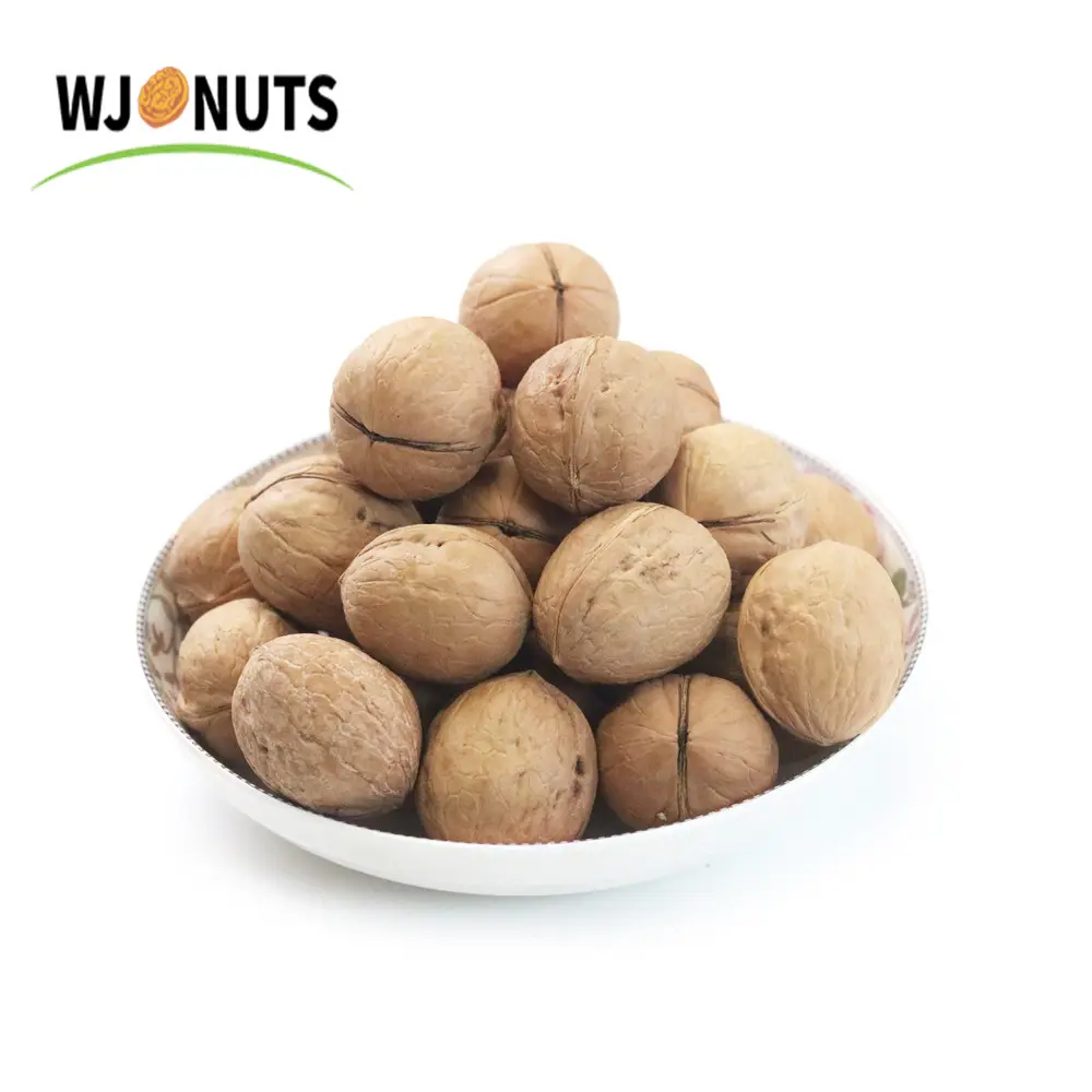 Wholesale price dried fruit unwashed xinjiang raw bulk 185 walnut in shell