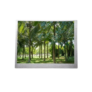 ER057010NM6 Módulo de pantalla 5,7 "Panel Lcd 320*240 CSTN Pantalla Lcd Pantalla Tft Lcd Pantalla de cristal líquido - Product Image 1