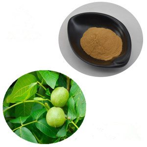 Toptan Juglans Regia yaprağı ekstresi/ceviz yaprağı ekstresi tozu - Product Image 3