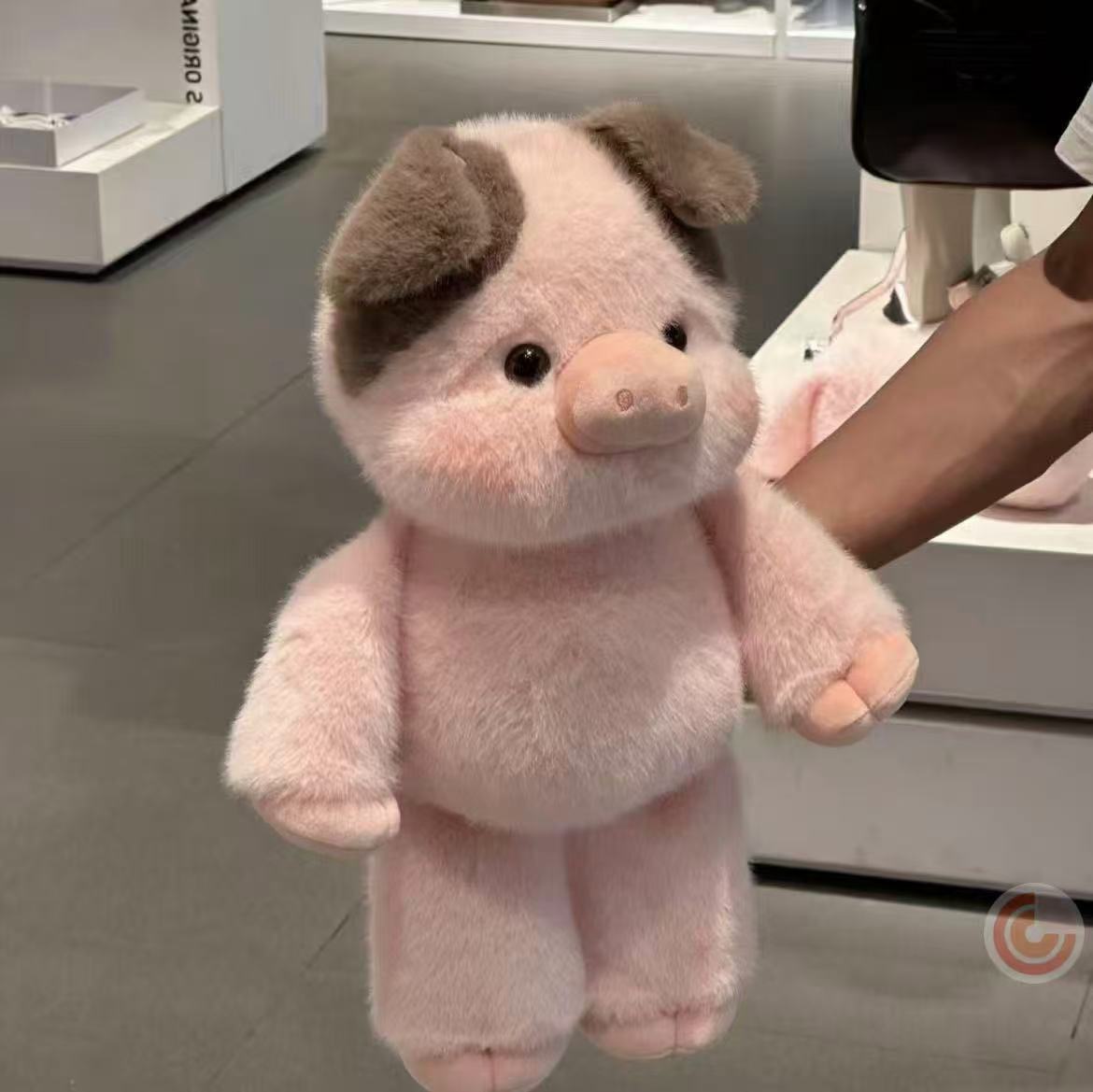 Pig