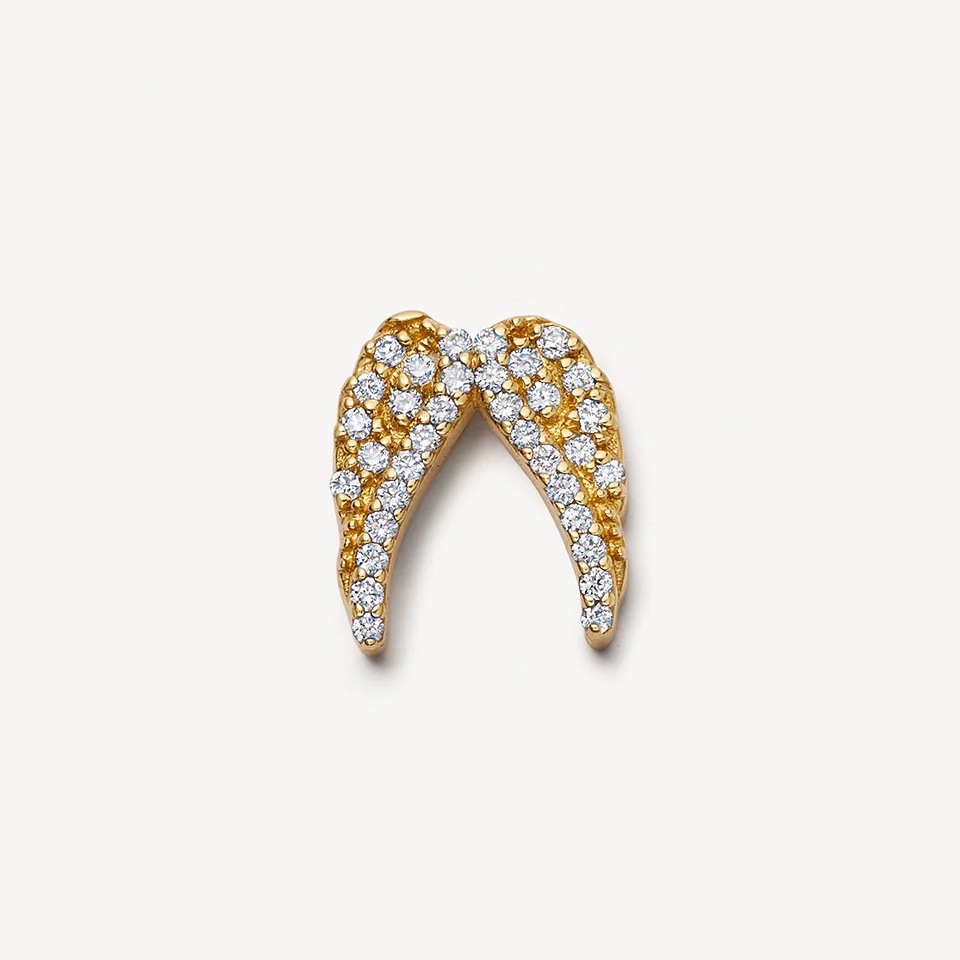 Accessoires d'aile