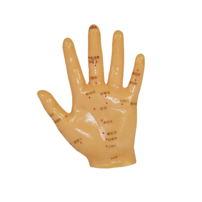 Gelsonlab HSBMA-020 Hand Acupuncture Model 13CM