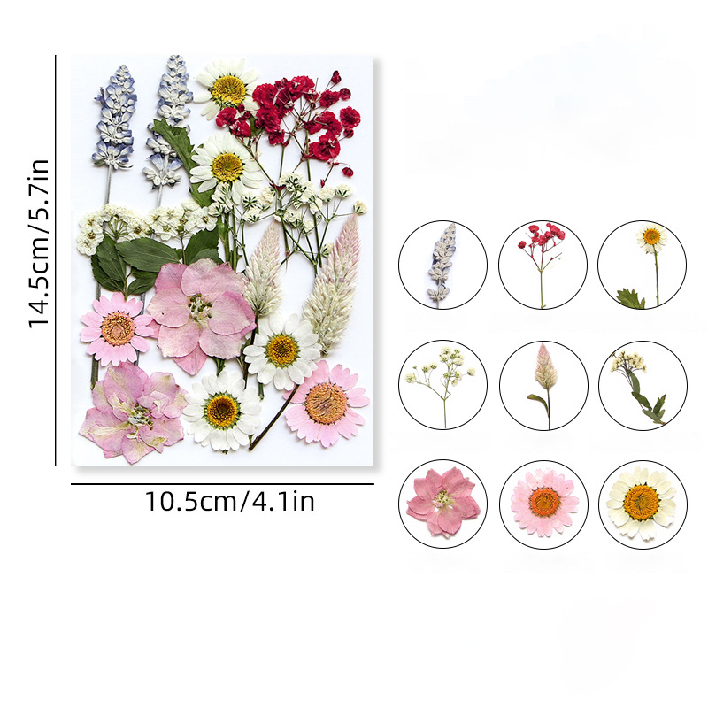 10 (16-23pcs)