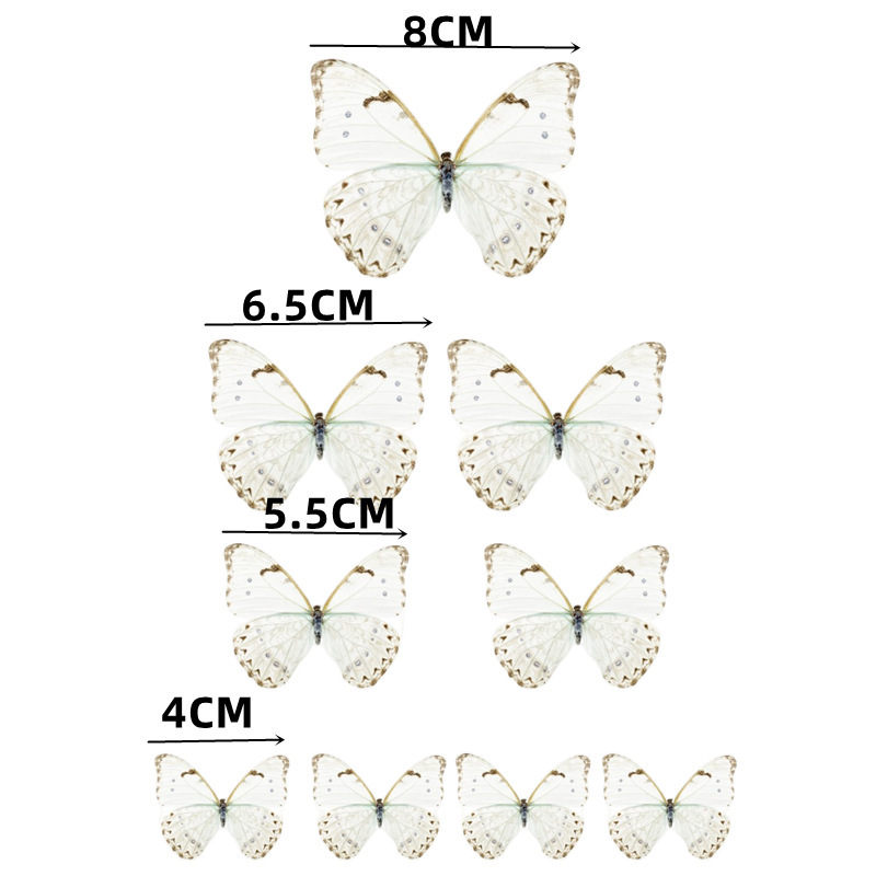 9 papillons crème