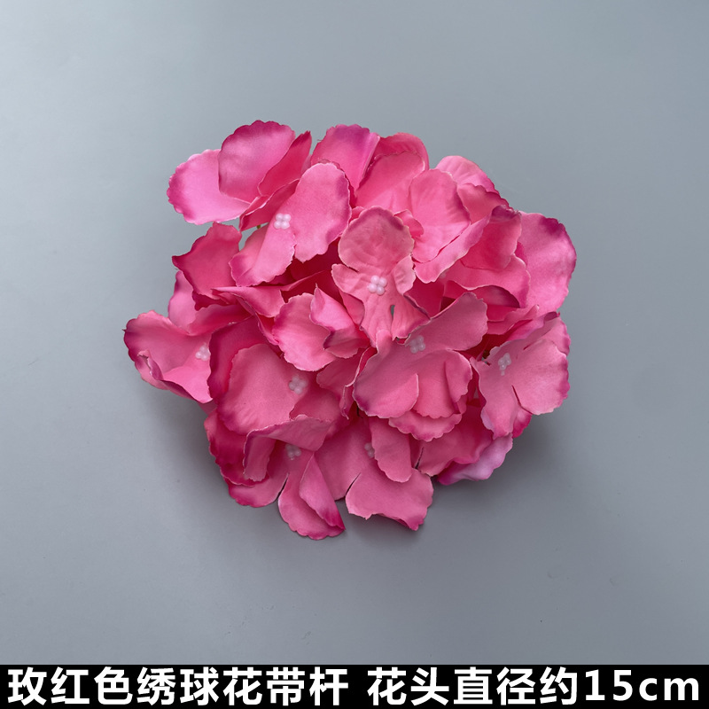 Hortensia roja rosa