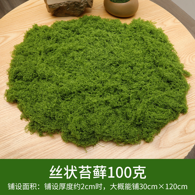 100 grammes de mousse filamenteuse vert clair