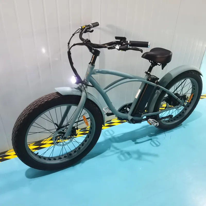Bici elettrica 3 ruote pedalata assistita bici Sidecar per trasportare animali domestici triciclo elettrico per pneumatici grassi