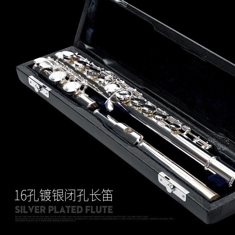 Silver-plated 17-hole plus e-key high-grade bag