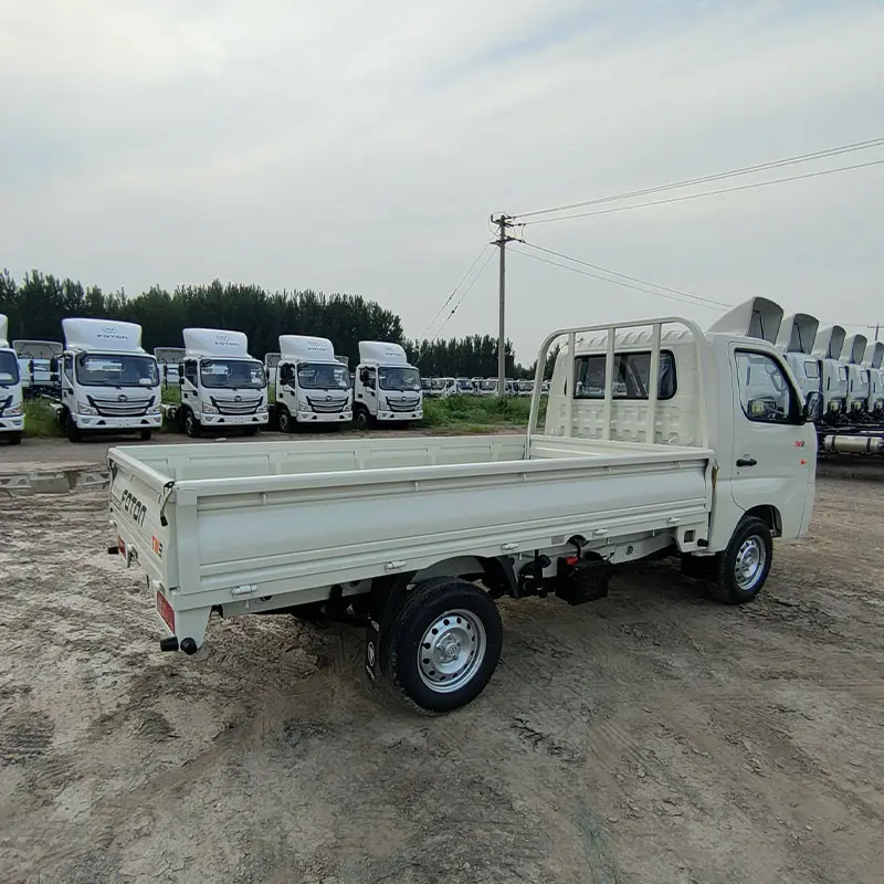 2024 nuova benzina fled cargo truck Foton mini cargo truck foton per Foton Xiangling m mini truck