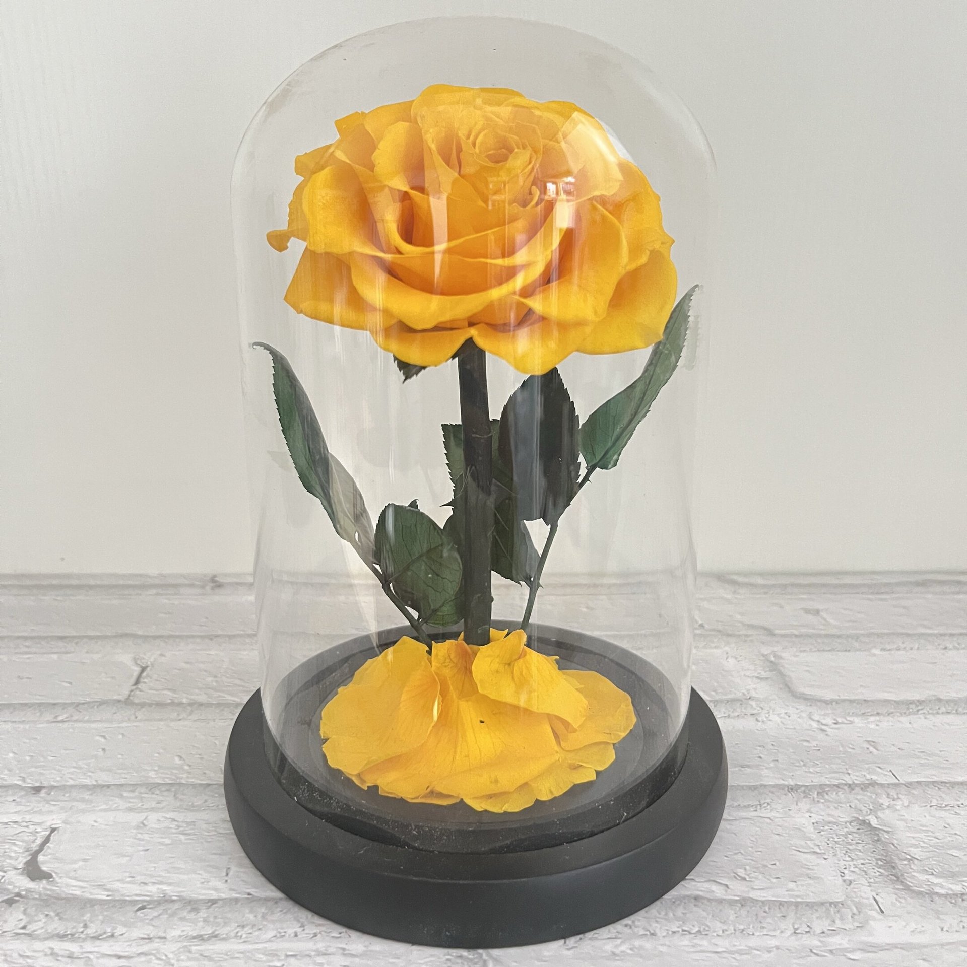 Fond noir jaune doré sans lampe avec boîte cadeau