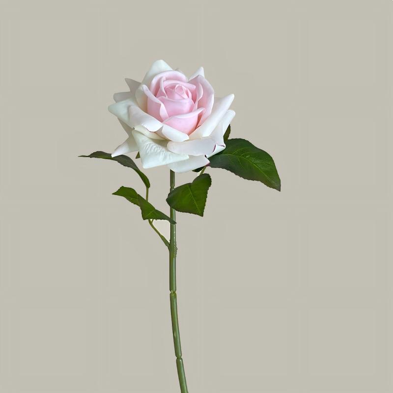 08-Rosa polvo