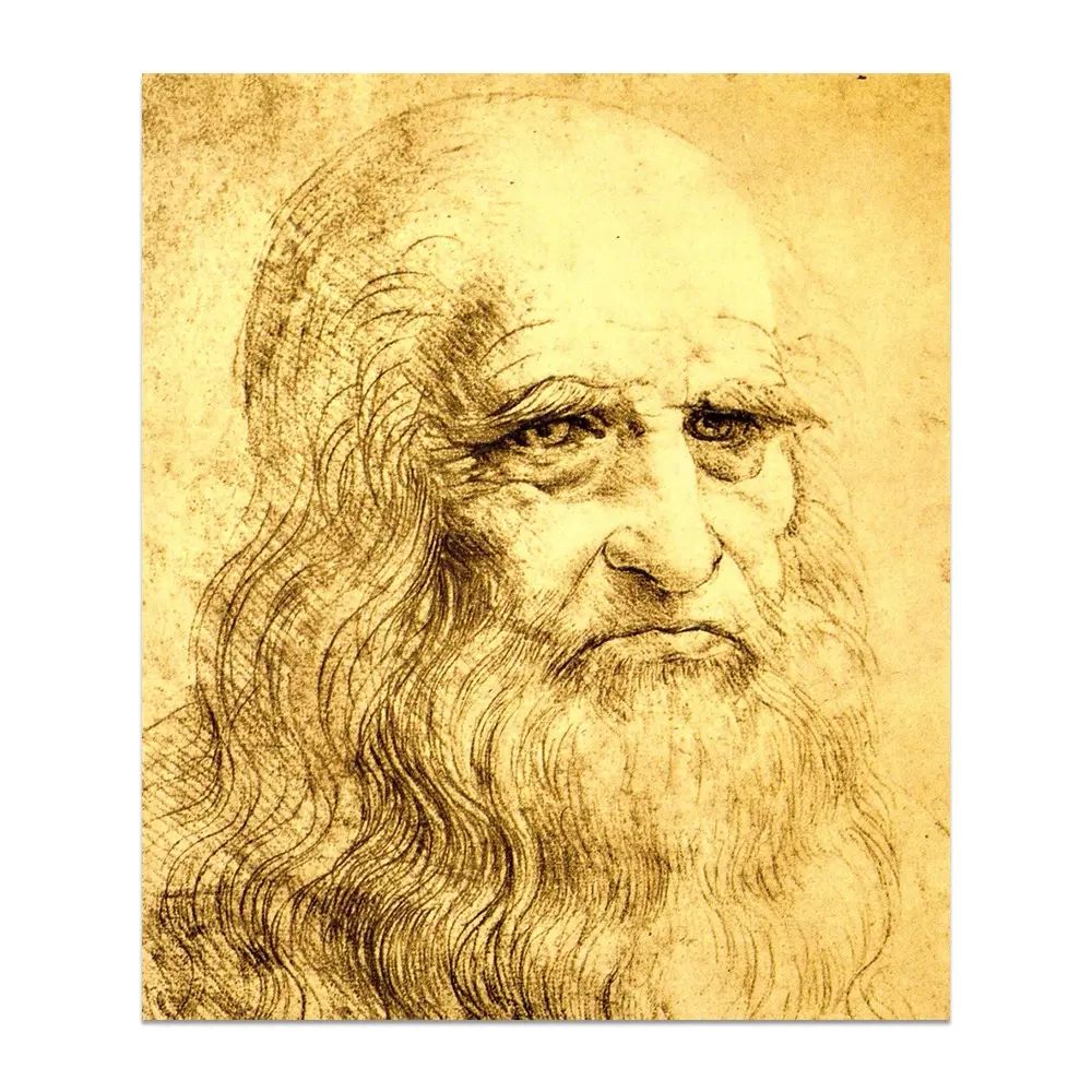 Ilustración cajones maestros famoso lápiz de grafito bosquejo autorretrato Leonardo Da Vinci dibujo