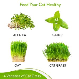 Home Grown Cat Grass and <strong>Catnip</strong> Alfalfa Oat Zippered Packet Pet Food for Agriculture Fertilizer Feed Flour <strong>Use</strong> - Product Image 4