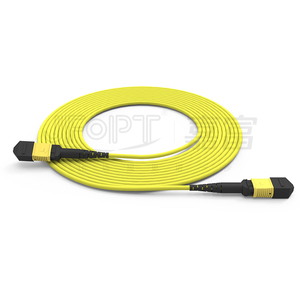 แพทช์สายไฟเบอร์ออปติกแพทช์ OM4สูญเสียต่ำ Mpo Mtp Trunk 12F LSZH 3.0มม. 15ม. สำหรับเครือข่าย WIFI - Product Image 2