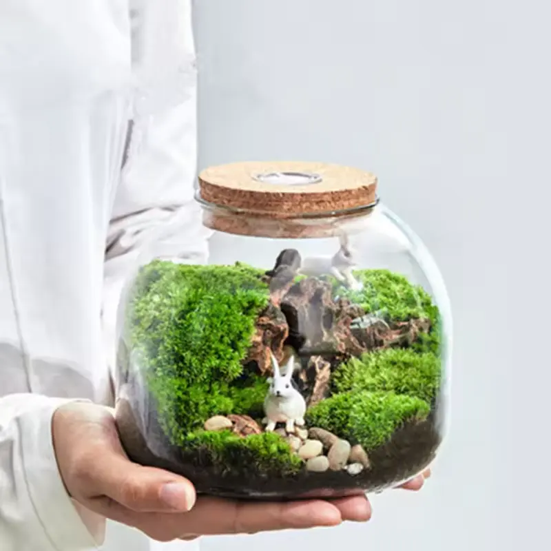 DIY ภูมิทัศน์ขวดมอสแก้ว Terrarium แจกันพร้อมไม้ก๊อก LED ตกแต่งบ้านโต๊ะ microlandschap ถัง