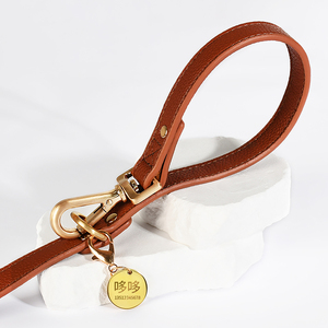 Mehrere wasserdichte Leder Hunde leine Anti-Tangle Großhandel bestückt personal isierte Luxus kleine große Haustier Traktion führt zu Fuß - Product Image 4