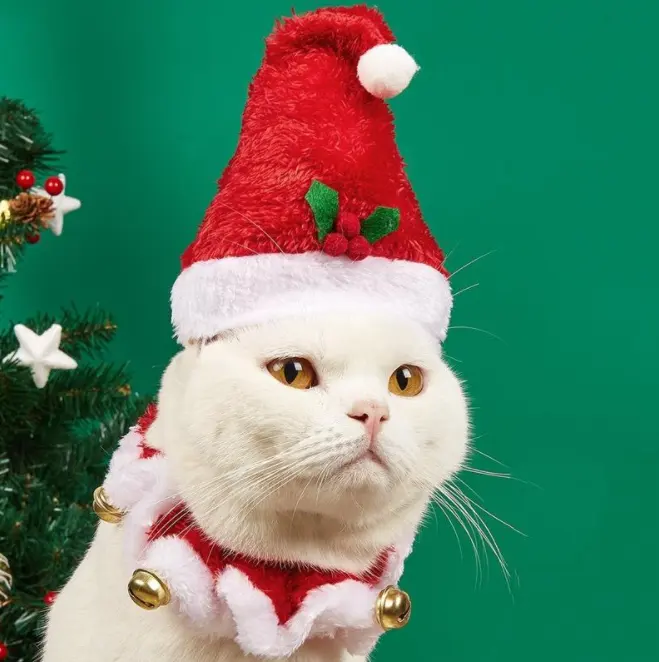 पालतू बिल्ली कुत्ते क्रिसमस सजावट कुत्ते क्रिसमस टोपी और घंटी के साथ कॉलर