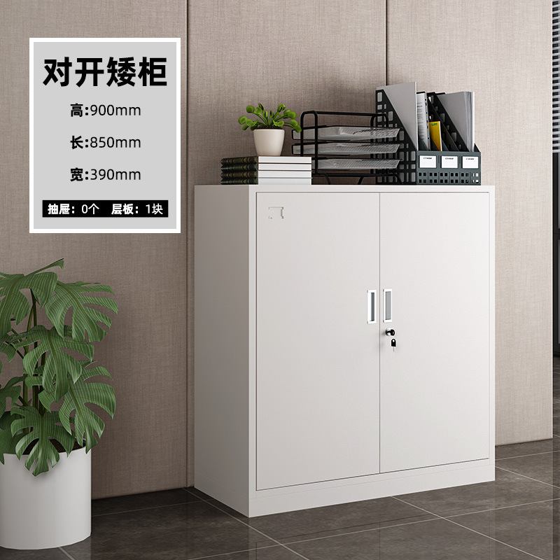 Meuble bas à double porte (sans tiroirs)