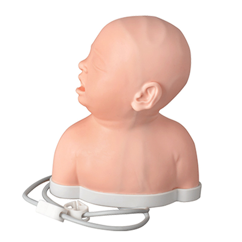 Inyección intravenosa infantil en la cabeza (solo modelo)