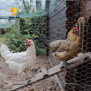 Fabrik direkt Gartenzaun/Geflügel käfig Gebraucht Sechseckiges Draht geflecht Edelstahl Hühner draht farm Gerolltes Geflügel netz - Product Image 4