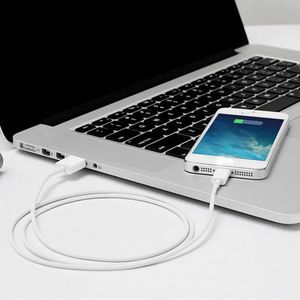 สาย USB IOS16สำหรับ1ม. 3ft 3ฟุต iPhone USB สายชาร์จสำหรับ iPhone 6 7 8 x XS 11 12 13 14 PRO MAX MINI Data USB - Product Image 5
