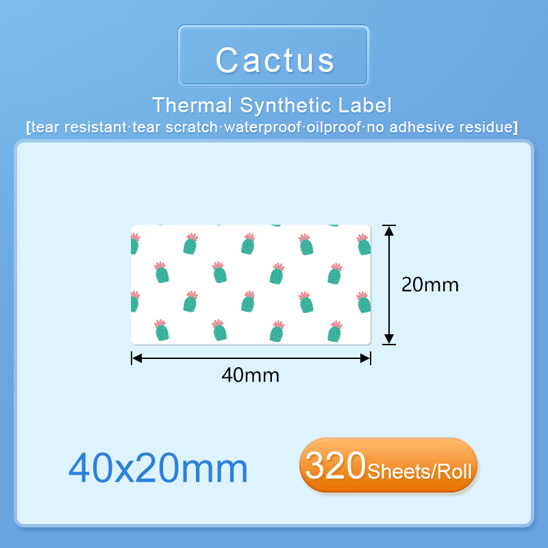 40x20mm Cactus