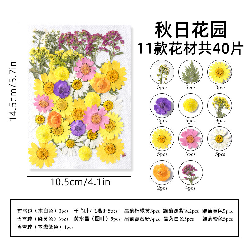 Autumn garden