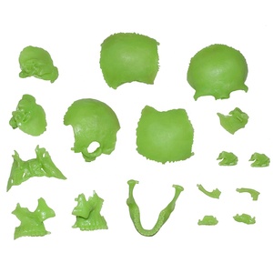 4D Master Glow-In-Dark kafatası anatomi modeli seti eğitim kök biyoloji tıp bilimleri mühendislik bilimleri mühendislik oyuncaklar - Product Image 6