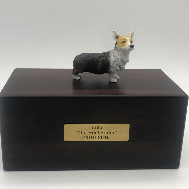 Corgi gallois