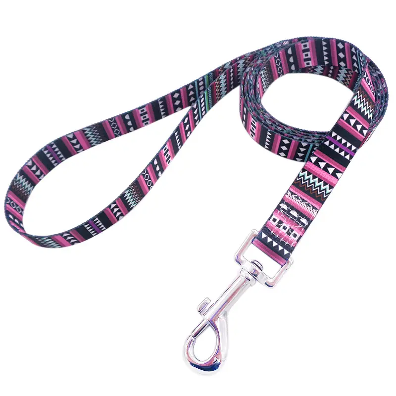 Wholesale Durable Printed Comfortable  Adjustable Multi-colors nylon dog lead leash